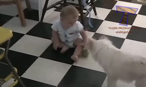 Birlikte oynamak sevimli bebekler ve köpekler komik bebek