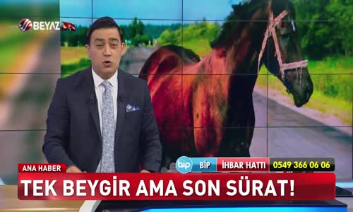 Tek beygir ama son sürat!