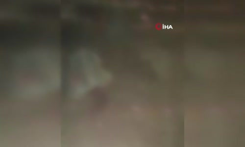 Meksika'da kaçak göçmenleri taşıyan kamyonet kaza yaptı- 4 ölü, 20 yaralı 