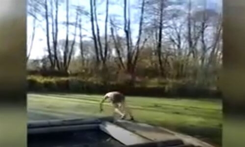 Aralık Ayında Bataklığa Daldı!