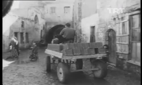 1972 Şanlıurfa'da Tarım Ve Hayvancılık İzle