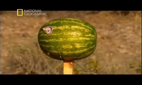 Savaş Makineleri-Makineli Tüfekler 