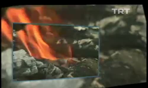 Gezelim Görelim (Derleme) 