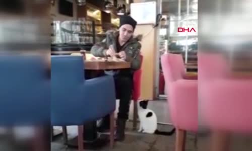 Kahvaltı Yapan Adamdan Yiyecek İsteyen Kedi