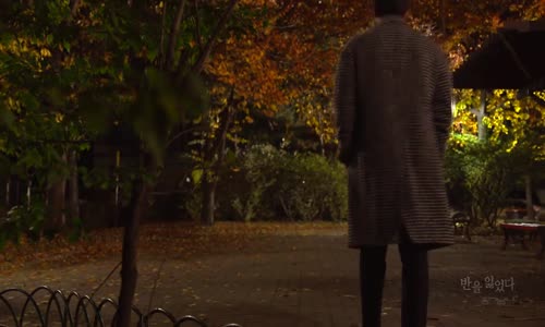 Mustafa Ceceli - Bırakma