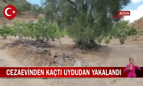 Aydın'da Cezaevinden Kaçan Şahıs Kiralık Araçtaki GPS Sayesinde Yakalandı! İşte Görüntüler