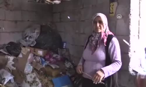 Osmaniye'de Kömürlükte Bulunan Garip Hayvan İskeleti