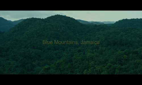 Buju Banton - Steppa