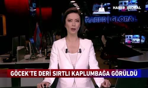 Göcek'te Deri Sırtlı Kaplumbağa Görüldü