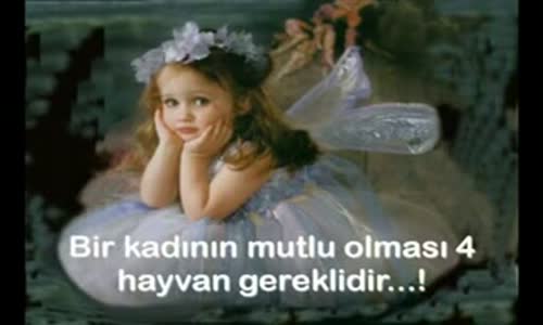 Kadını mutlu eden 4 hayvan :))