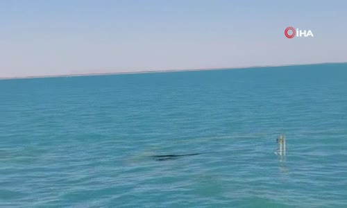 Tunus açıklarında batan akaryakıt yüklü gemide sızıntı tespit edilmedi 