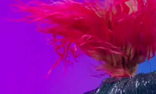 Ece Seçkin - Acayip İyi 