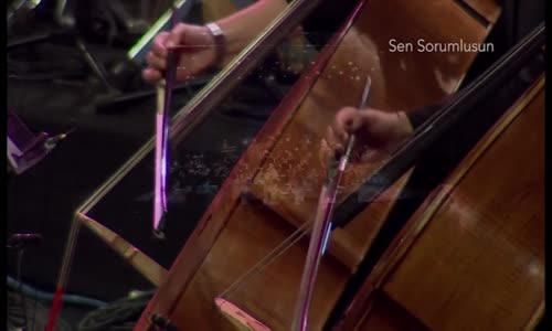 Bülent Ortaçgil - Sen Sorumlusun 