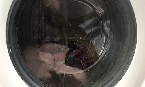 Kedi Ve Çamaşır Makinesi