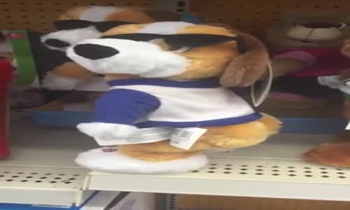 Twerk Yapan Gereksiz Oyuncak Köpek 