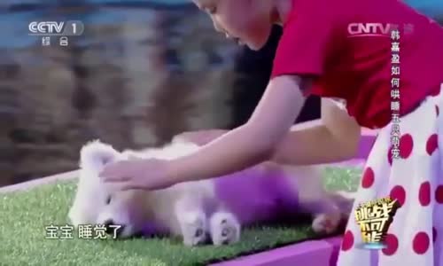 Küçük Kızın Hayvan sevgisi