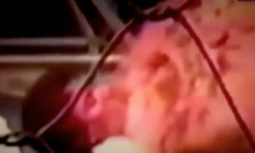 Yaşanmış İnanılmaz Aslan Olayları Hepsi Gerçek Video