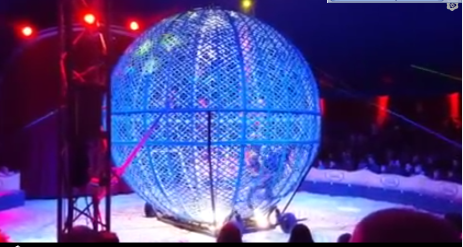 Bu görülmeye değer! Böylesi görmediniz !