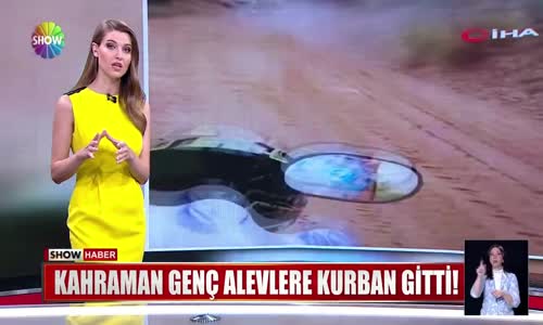 Alevlerin arasındaki Şahin