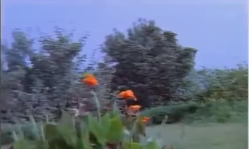 RÜYA GİBİ HER HATIRA