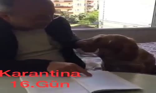 Köpeğe tarih dersi veren 65+ Amca