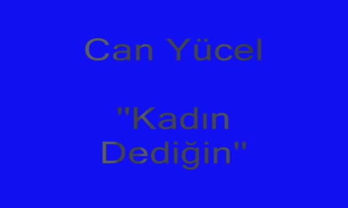 Can Yücel  Kadın Dediğin