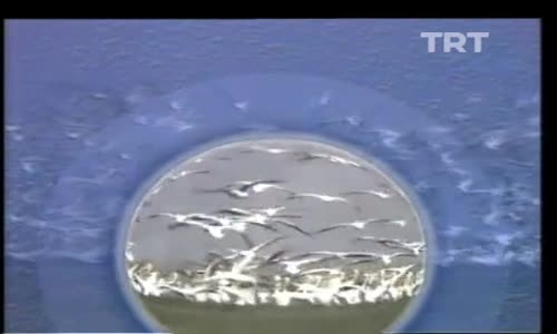 Türkü Türkü Türkiyem 54.Bölüm