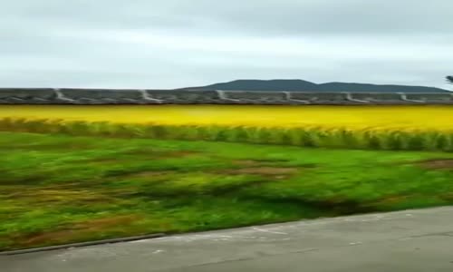 Bunun bir duvar resmi olduğuna kim inanır ????