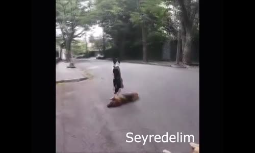 Haydi Güne Gülerek Başlayalım - 12