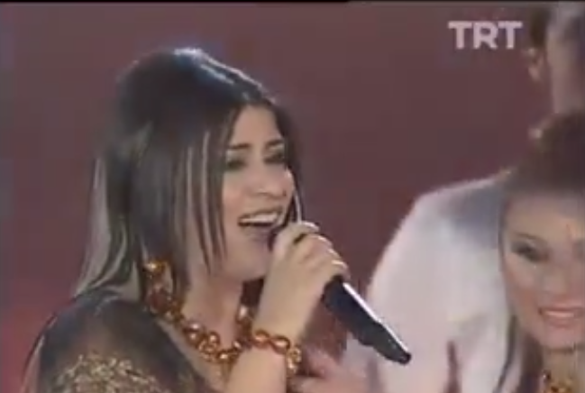 Zara-Sendeki Kaşlar Bende Olaydı