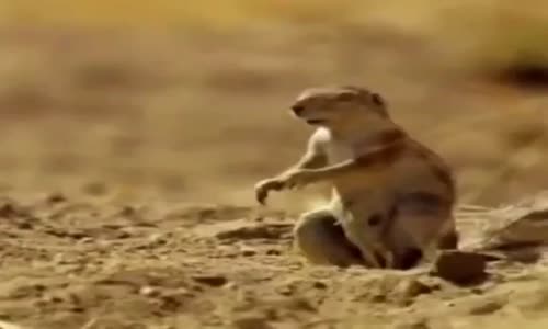 İğrenç Espiri Yapabilmenin Yaşı Yok