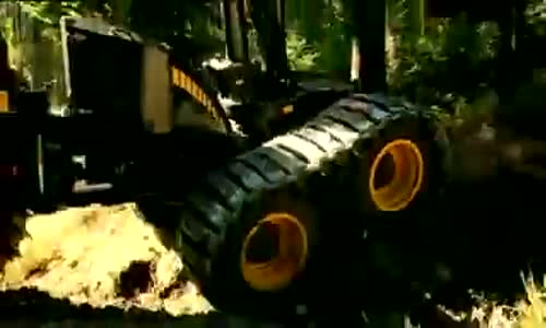 Orman Katliam Makinası