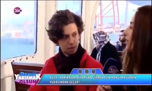 Sunucunun Elindeki Kağıttan Cevapları Okuyan Çakal Yarışmacı