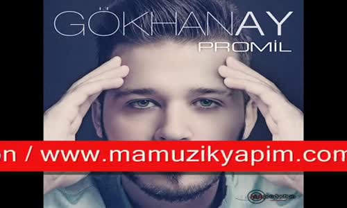 Gökhan Ay - Promil