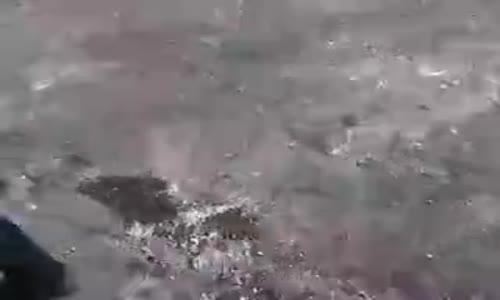 Kızdan Erkeğe Acımasız Dayak