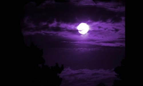 Ahmet Özhan  Dün Gece Mehtaba Dalıp Seni Andım