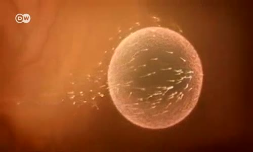 Akıllı Telefonla Sperm Testi