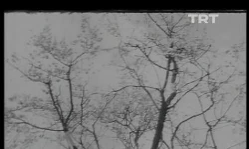 Ali Ekber Çiçek-Böyle İkrarınan Böyle Yolunan izle