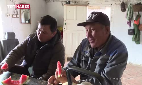 Kazakistan'da göçebe hayat- At çobanları