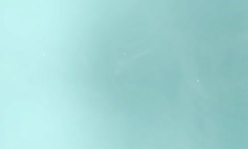 Sezen Aksu - Kalp Unutmaz (Lyrics - Şarkı Sözleri) 