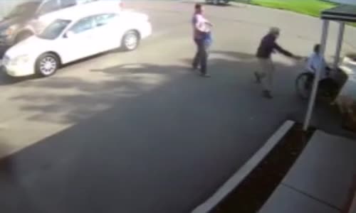 Tekerlekli Sandalyedeki Sahibini Sürükleyen Köpek 