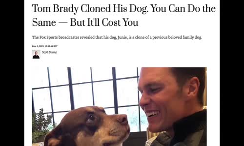 DE-EXTINCTION PET CEMETERY! TOM BRADY CLONES DEAD DOG & MEDIA SELLS THE IDEA OF MAN PLAYING GOD!