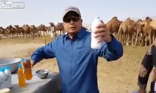 Deve Sidiği İçen Adam