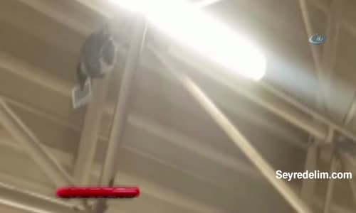 Akbil Hırsızı Karganın Görüntüleri Güldürdü