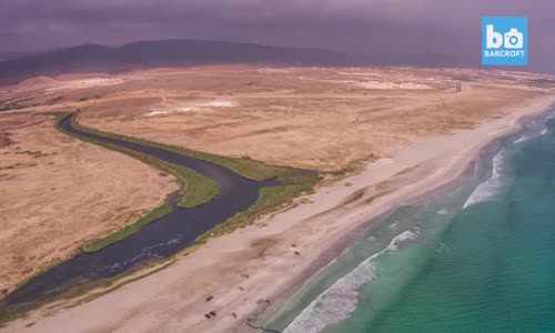 Balıkçılar Göç Sırasında Binlerce Sardalya Yakaladı