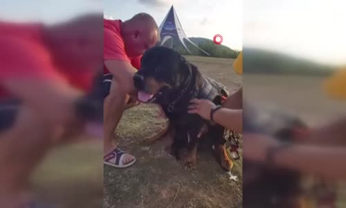 Uçmayı seven köpek Sakarya semalarında işte böyle dolaştı 