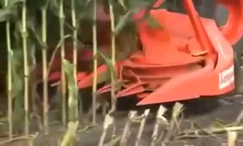 Tarımda Son Teknoloji ! Bir Hatalık İş Birkaç Saatte Bitti !