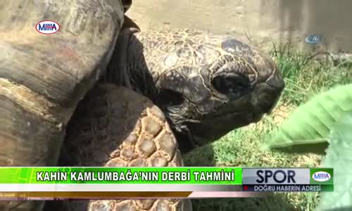 Kahin Kaplumbağa Derbi Tahmini