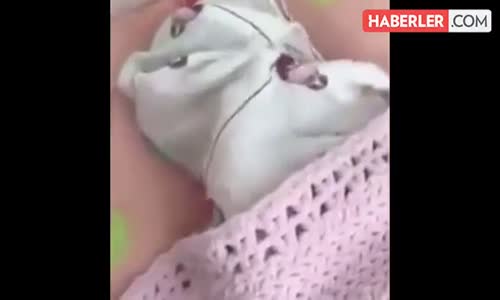 Minik Kelebeğin Kozasından Çıkma Anı