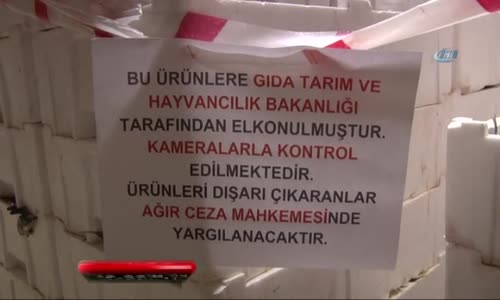 Bu Balıklara el Süren Ağır Cezada Yargılanacak 